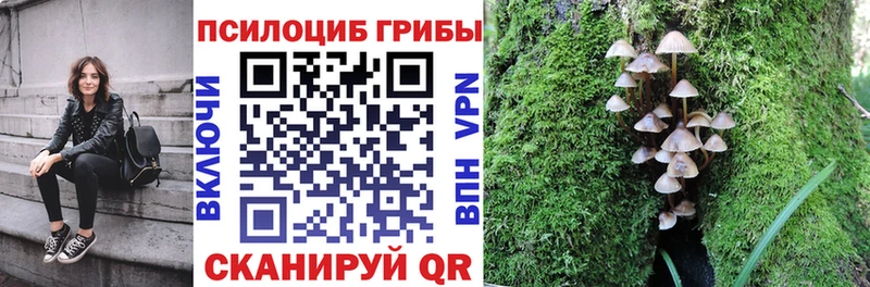 Галлюциногенные грибы GOLDEN TEACHER  Сорочинск 