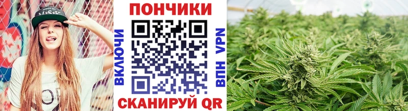 Шишки марихуана THC 21%  Сорочинск 